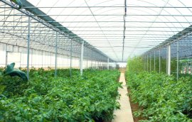 山东好时代生物科技有限公司